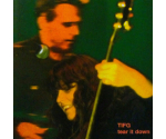 Take It For Granted - Tear It Down (CD, 1999)