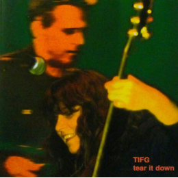 Take It For Granted - Tear It Down (CD, 1999)