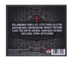 Lynyrd Skynyrd - God & Guns (CD, 2009)