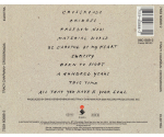 Tracy Chapman - Crossroads (CD, 1989)