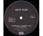 Kate Bush - Hounds Of Love (LP 1986)