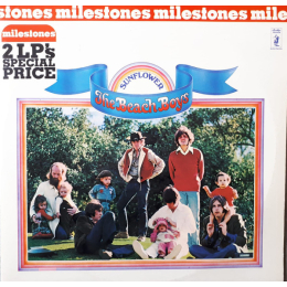 The Beach Boys - Sunflower / Surf's Up (LP)