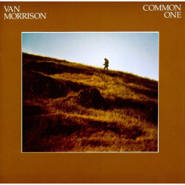 Van Morrison - Common One (CD, 1995)