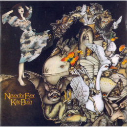 Kate Bush - Never For Ever (CD, 1987)