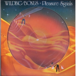 Danny Wilding / Peter Bonas - Pleasure Signals (LP 1978)