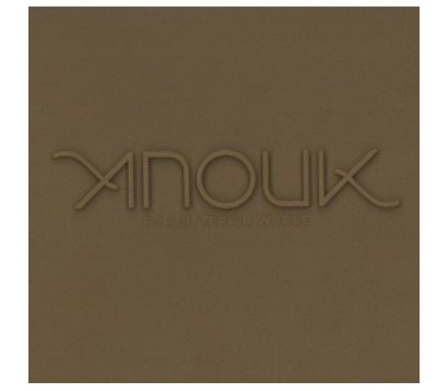 Anouk - For Bitter Or Worse Deluxe Edition (CD, 2009)