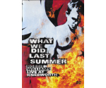 Robbie Williams – What We Did Last Summer, Live At Knebworth (DVD, 2003)