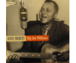 Big Joe Williams - Have Mercy! (CD, 1996)