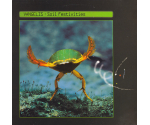 Vangelis - Soil Festivities (LP 1984)