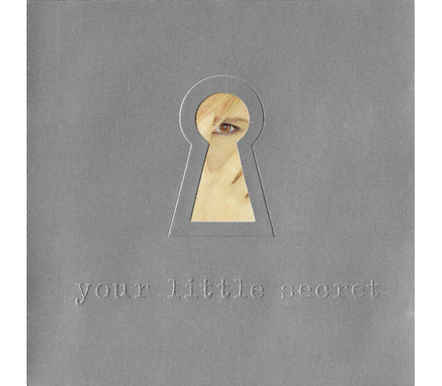 Melissa Etheridge - Your Little Secret (CD, 1995)