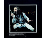 Jethro Tull - Live (Bursting Out) (LP 1978)