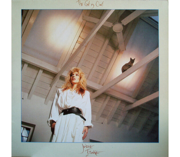 Judie Tzuke - The Cat Is Out (LP 1985)