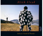 Pink Floyd – Delicate Sound Of Thunder (CD, 1988)