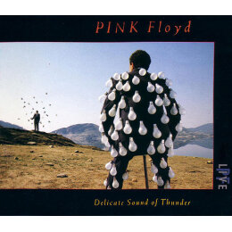 Pink Floyd – Delicate Sound Of Thunder (CD, 1988)