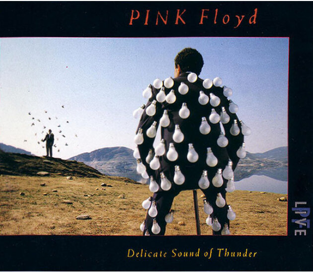 Pink Floyd – Delicate Sound Of Thunder (CD, 1988)