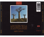 Pink Floyd – Delicate Sound Of Thunder (CD, 1988)