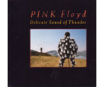 Pink Floyd – Delicate Sound Of Thunder (CD, 1988)