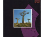 Pink Floyd – Delicate Sound Of Thunder (CD, 1988)