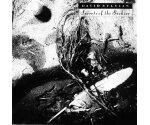 David Sylvian - Secrets Of The Beehive (CD 1987)