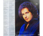 Lee Ritenour - Rit/2 (LP, 1982)