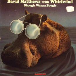 Dave Matthews With Whirlwind - Shoogie Wanna Boogie (LP, 1976)