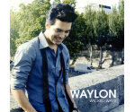 Waylon (3) - Wicked Ways (CD, 2009)