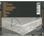 Amos Lee - Last Days At The Lodge (CD, 2008)