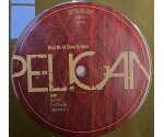 Pelican - What We All Come To Need (LP 2013) Limited to 1000 Copies Gold Marble 2LP