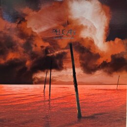 Pelican - What We All Come To Need (LP 2013) Limited to 1000 Copies Gold Marble 2LP