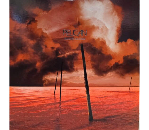 Pelican - What We All Come To Need (LP 2013) Limited to 1000 Copies Gold Marble 2LP