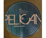 Pelican - What We All Come To Need (LP 2013) Limited to 1000 Copies Gold Marble 2LP
