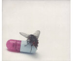 Red Hot Chili Peppers - I'm With You (CD, 2011)