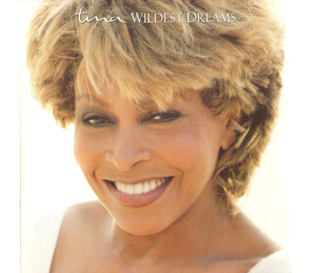 Tina Turner - Wildest Dreams (CD, 1996)