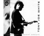 Tony Joe White - The Path Of A Decent Groove (CD, 1993)
