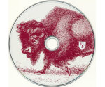 Foo Fighters - In Your Honor (2xCD, 2005)