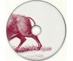 Foo Fighters - In Your Honor (2xCD, 2005)