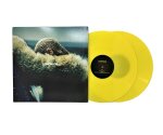 Beyoncé - Lemonade (LP 2017 Coloured)